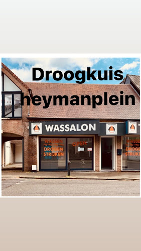 Droogkuis heymanplein - Sint-Niklaas