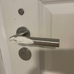 Photo n°1 de l'avis de Stephen.a fait le 08/05/2023 à 08:59 sur le  limehome Bayreuth Spitalgasse à Bayreuth