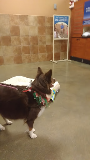 Pet Supply Store «PetSmart», reviews and photos, 104 Dettro Dr, Mattoon, IL 61938, USA