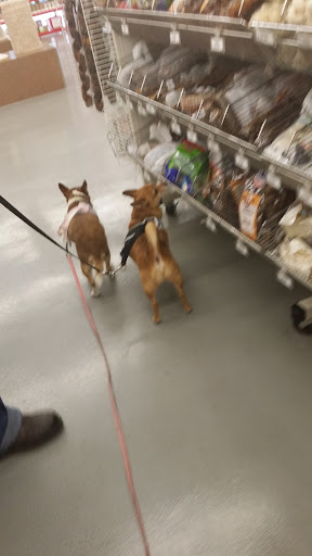Pet Supply Store «Pet Food Express», reviews and photos, 372 Woodside Rd, Redwood City, CA 94061, USA