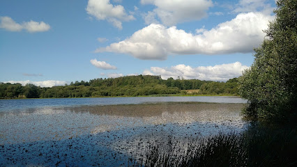 lago – Lagoa de Sobrado – Abegondo