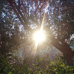 Photo n°1 de l'avis de mario.a fait le 15/02/2024 à 04:17 sur le  Country Hotel & Resort I Calanchi à Ripatransone