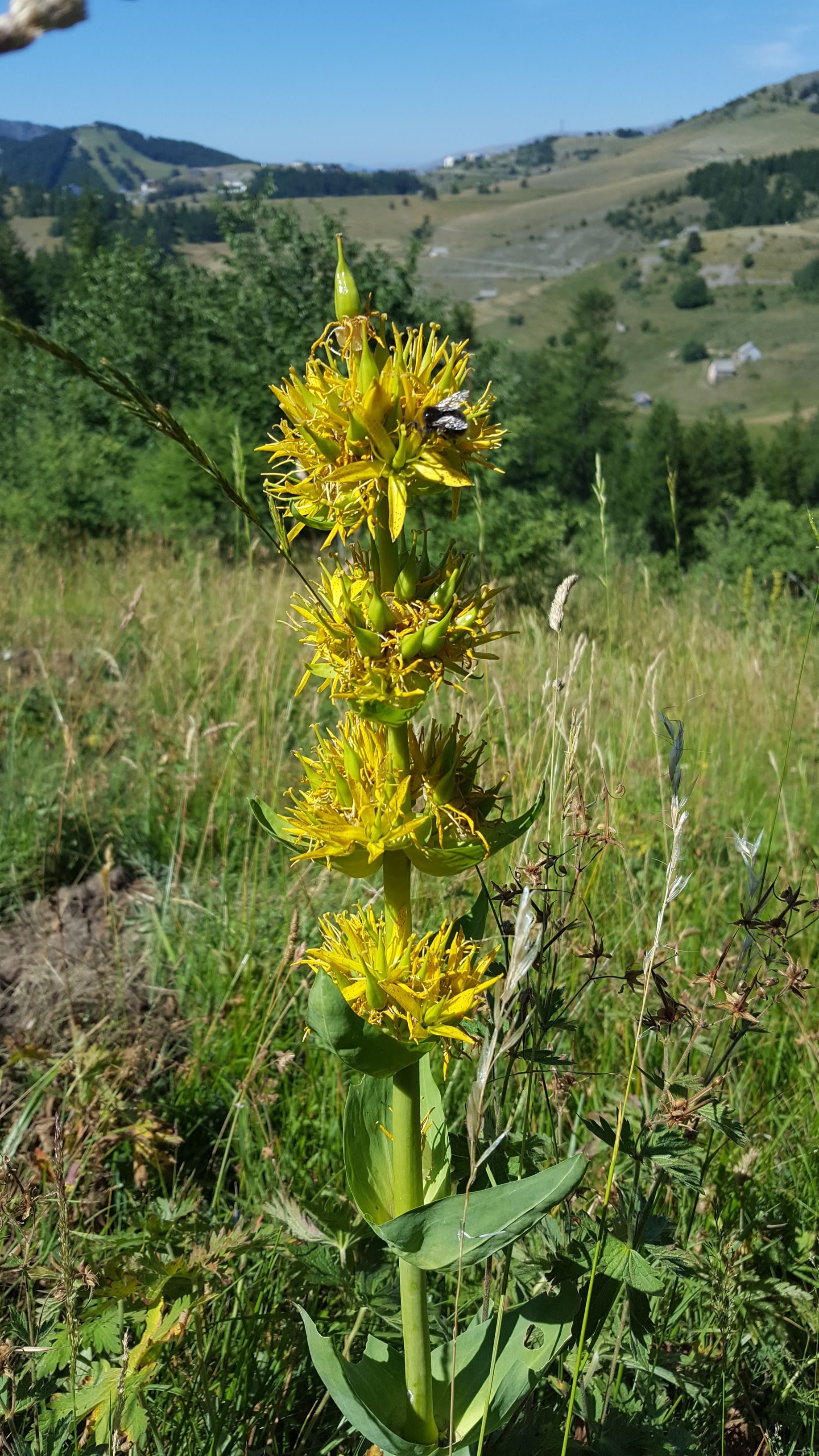 Photo n° 6 de l'avis de xav373. fait le 12/08/2019 à 11:27