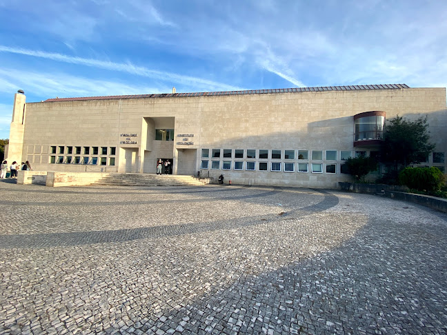 Universidade de Lisboa - Universidade