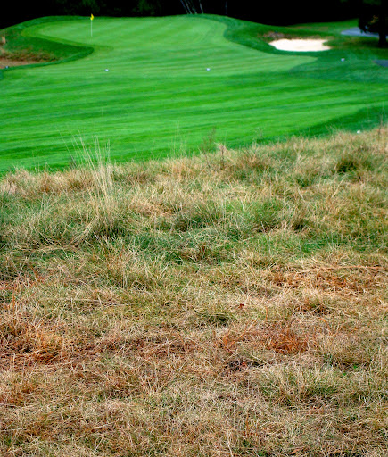 Golf Club «Acushnet River Valley», reviews and photos, 685 Main Street, Acushnet, MA 02743, USA