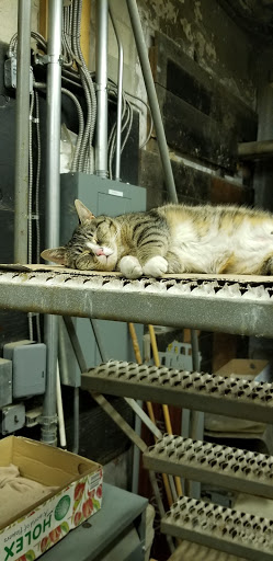 Florist «Sieck-Wright Floral Products», reviews and photos, 231 Monmouth St, Hightstown, NJ 08520, USA