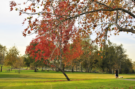 Park «Irvine Regional Pk», reviews and photos, 1 Irvine Park Rd, Orange, CA 92869, USA