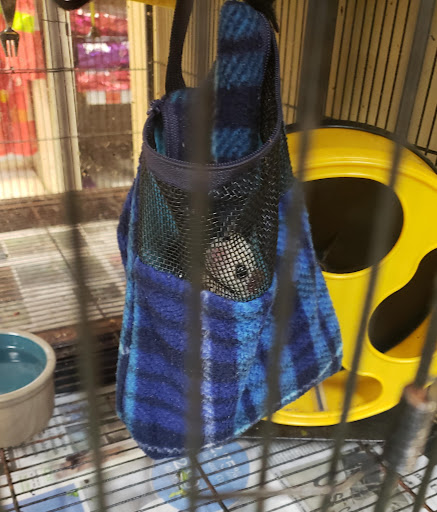 Pet Store «A Family Pet Center», reviews and photos, 6230 N Lockwood Ridge Rd, Sarasota, FL 34243, USA