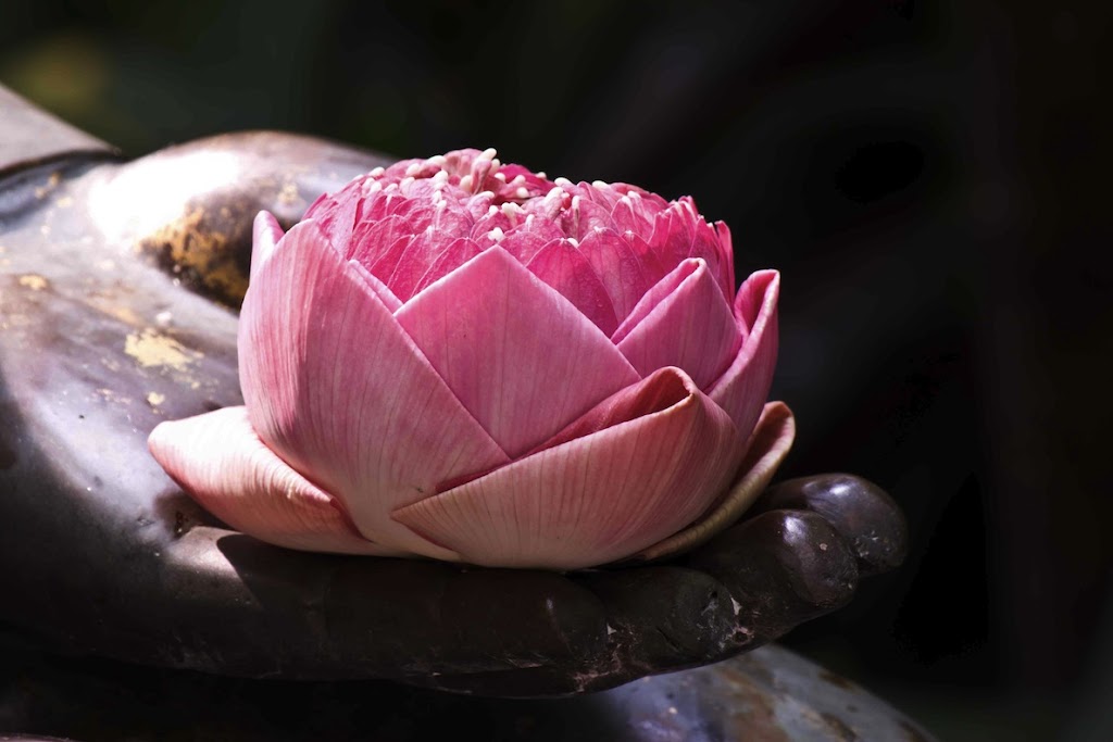 Banyan Tree Massage Therapy San Luis Obispo, CA 93401 Services and