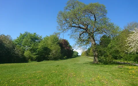Cornist Park image