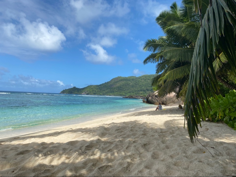 Anse Forbans Beach的照片 带有碧绿色纯水表面