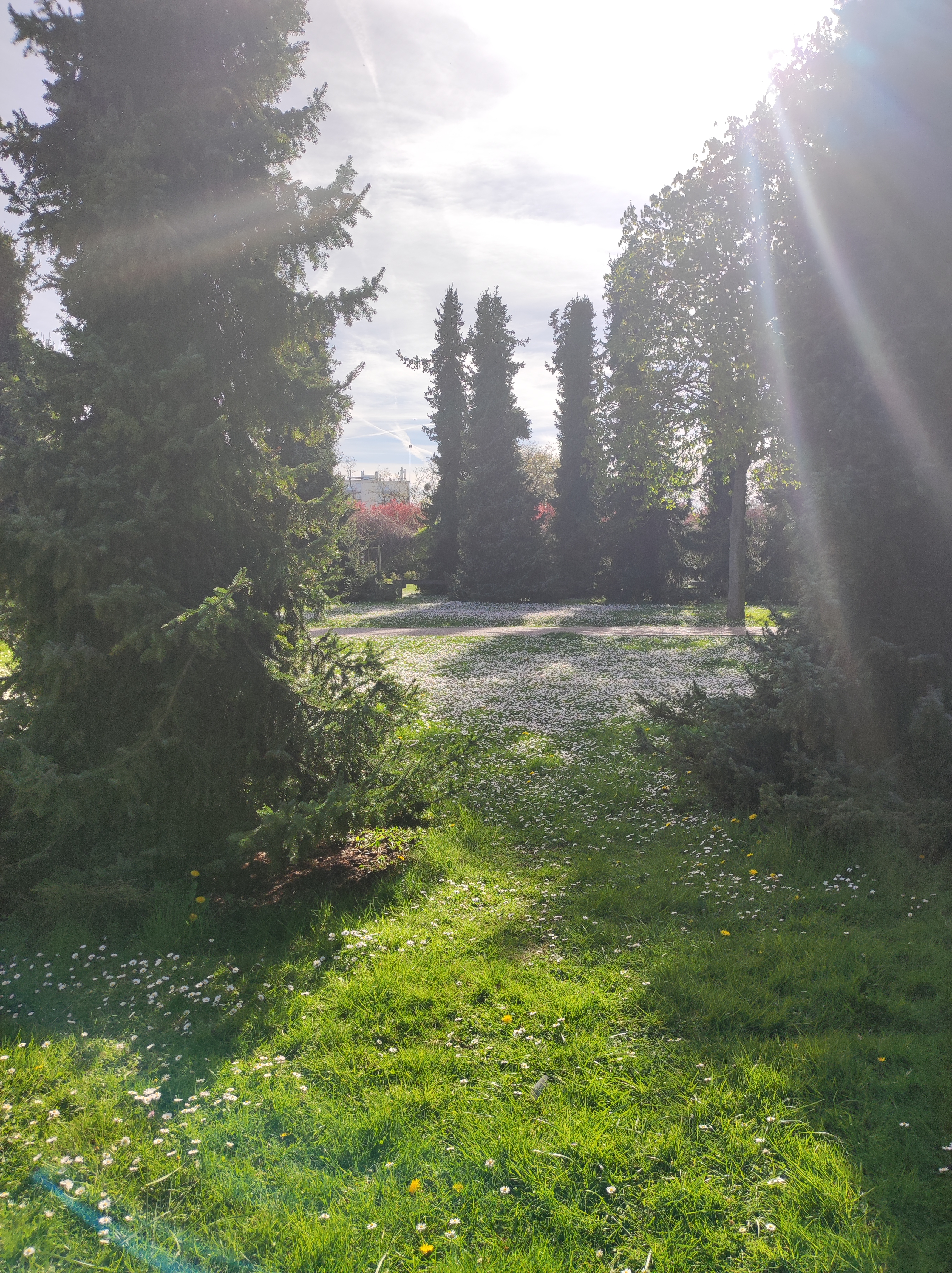 Photo n° 6 de l'avis de Yacine. fait le 22/03/2022 à 16:48