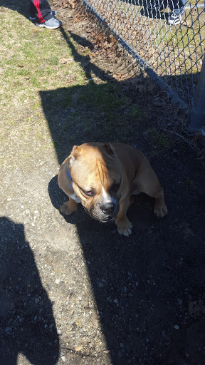 Park «Shedd Park», reviews and photos, 453 Rogers St, Lowell, MA 01852, USA