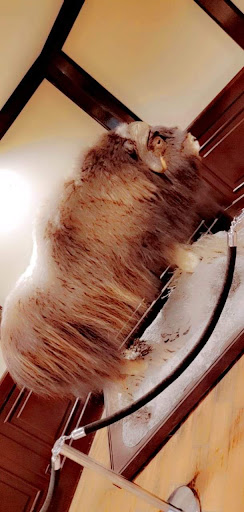 Cigar Shop «Royal Cigar Tobacco», reviews and photos, 403 14th Ave SE, Minneapolis, MN 55414, USA