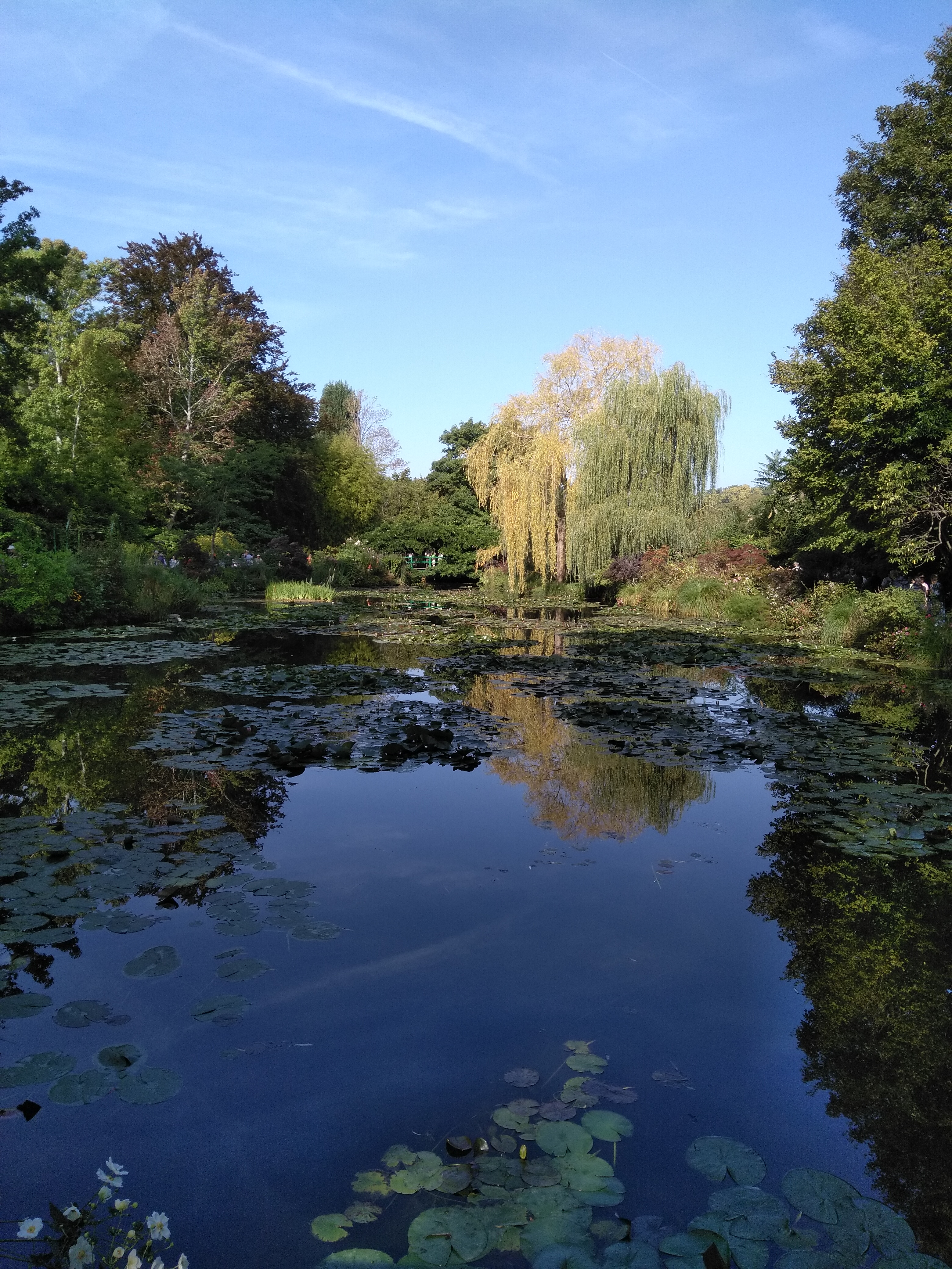 Photo n° 9 de l'avis de Emmanuel.o fait le 14/09/2019 à 14:20