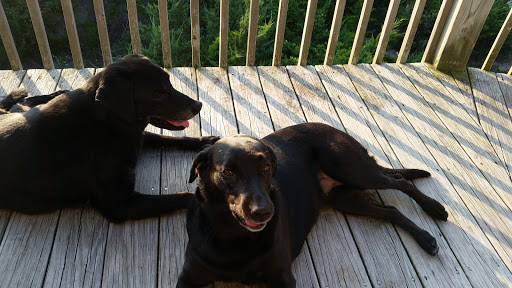 Real Estate Agency «Outer Beaches Realty», reviews and photos, 40227 Tigrone Blvd, Avon, NC 27915, USA