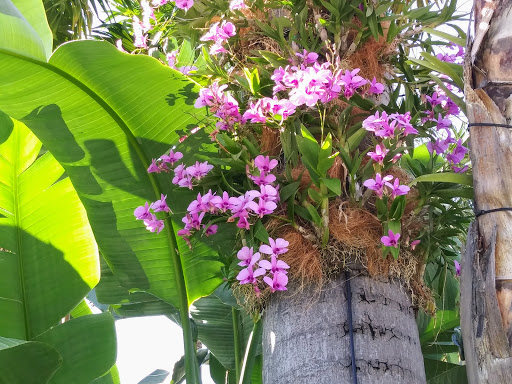 Cosmetics Store «SEPHORA», reviews and photos, 721 Collins Ave, Miami Beach, FL 33139, USA