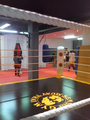 Sensei Gym (tienda y gimnasio) Muay Thai, boxeo y artes marciales