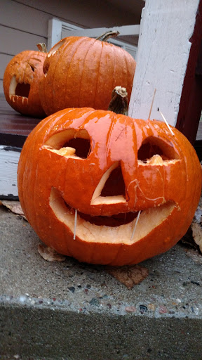 Pet Supply Store «Petco Animal Supplies», reviews and photos, 9480 W Northern Ave, Glendale, AZ 85305, USA