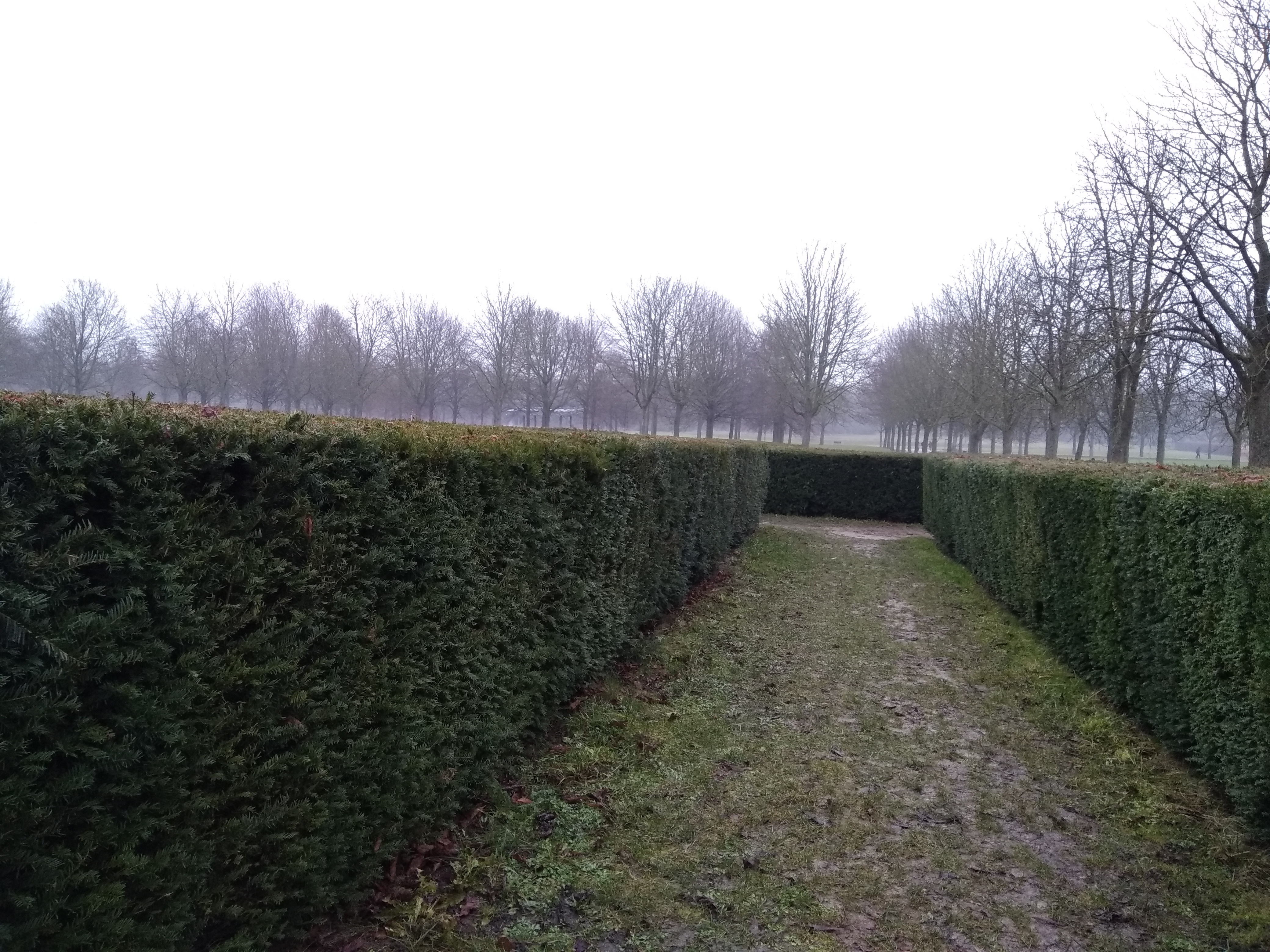 Photo n° 1 de l'avis de Fabrice.a fait le 01/01/2020 à 16:28