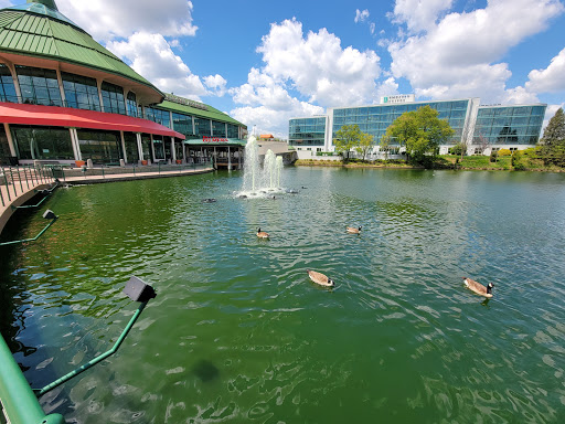 Shopping Mall «The Mall At Lexington Green», reviews and photos, 161 Lexington Green Cir, Lexington, KY 40503, USA