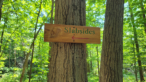 Nature Preserve «John Burroughs Slabsides», reviews and photos, Burroughs Dr, West Park, NY 12493, USA