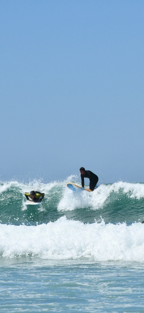 Photo n° 28 de l'avis de Phidis.a fait le 13/07/2022 à 23:31