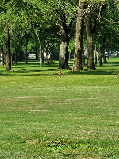 Golf Club «Maple Lane Golf Club», reviews and photos, 33203 Maple Ln Dr, Sterling Heights, MI 48312, USA