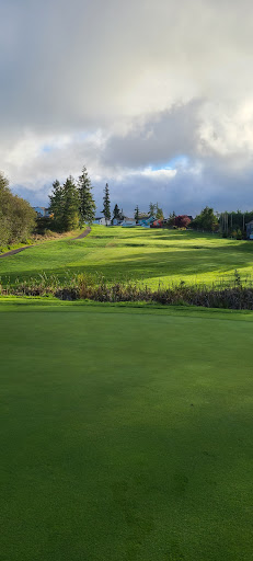 Golf Course «Holmes Harbor Golf Club», reviews and photos, 5023 Harbor Hills Dr, Freeland, WA 98249, USA