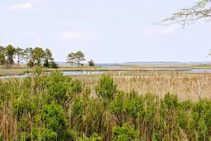 Bay Forest at Bethany Beach image