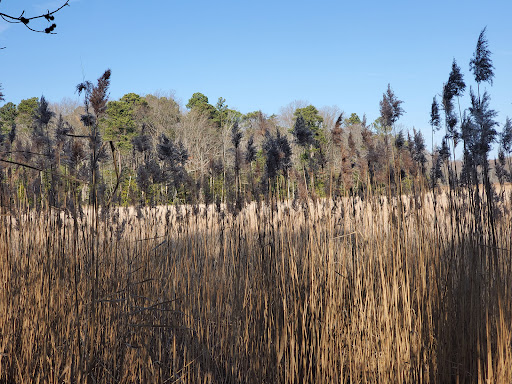 Tourist Attraction «Wetlands overlook park», reviews and photos, 4020 11th St, North Beach, MD 20714, USA