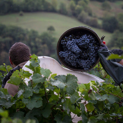 Domaine Croizat à Salles-la-Source