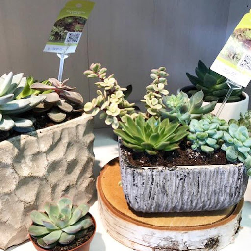 Florist «Chelsea Village Flowers», reviews and photos, 112 E Middle St, Chelsea, MI 48118, USA