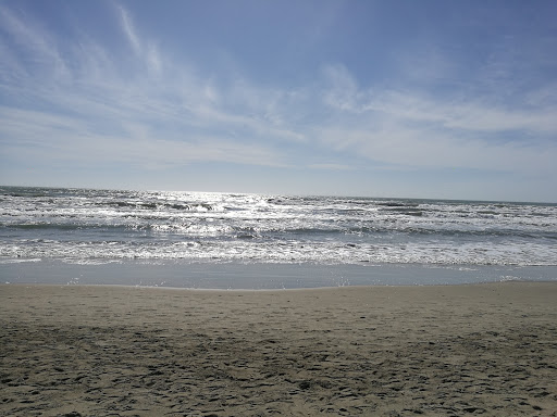 CABINET O LES PIEDS RÉFLEXOLOGIE PLANTAIRE ET KINÉSIOLOGIE MONTPELLIER Reiki