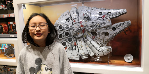 Toy Store «The LEGO Store», reviews and photos, 2901 S Capital of Texas Hwy, Austin, TX 78746, USA