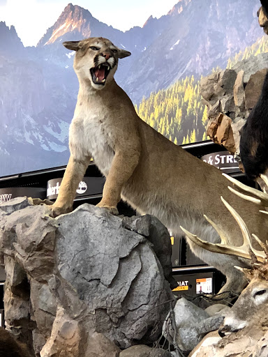 Outdoor Sports Store «Field & Stream», reviews and photos, 5215 Century Ave, Kalamazoo, MI 49006, USA