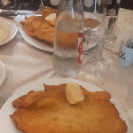 Photo n°2 de l'avis de Luca.a fait le 25/10/2022 à 12:07 sur le  Bulldog à Modena