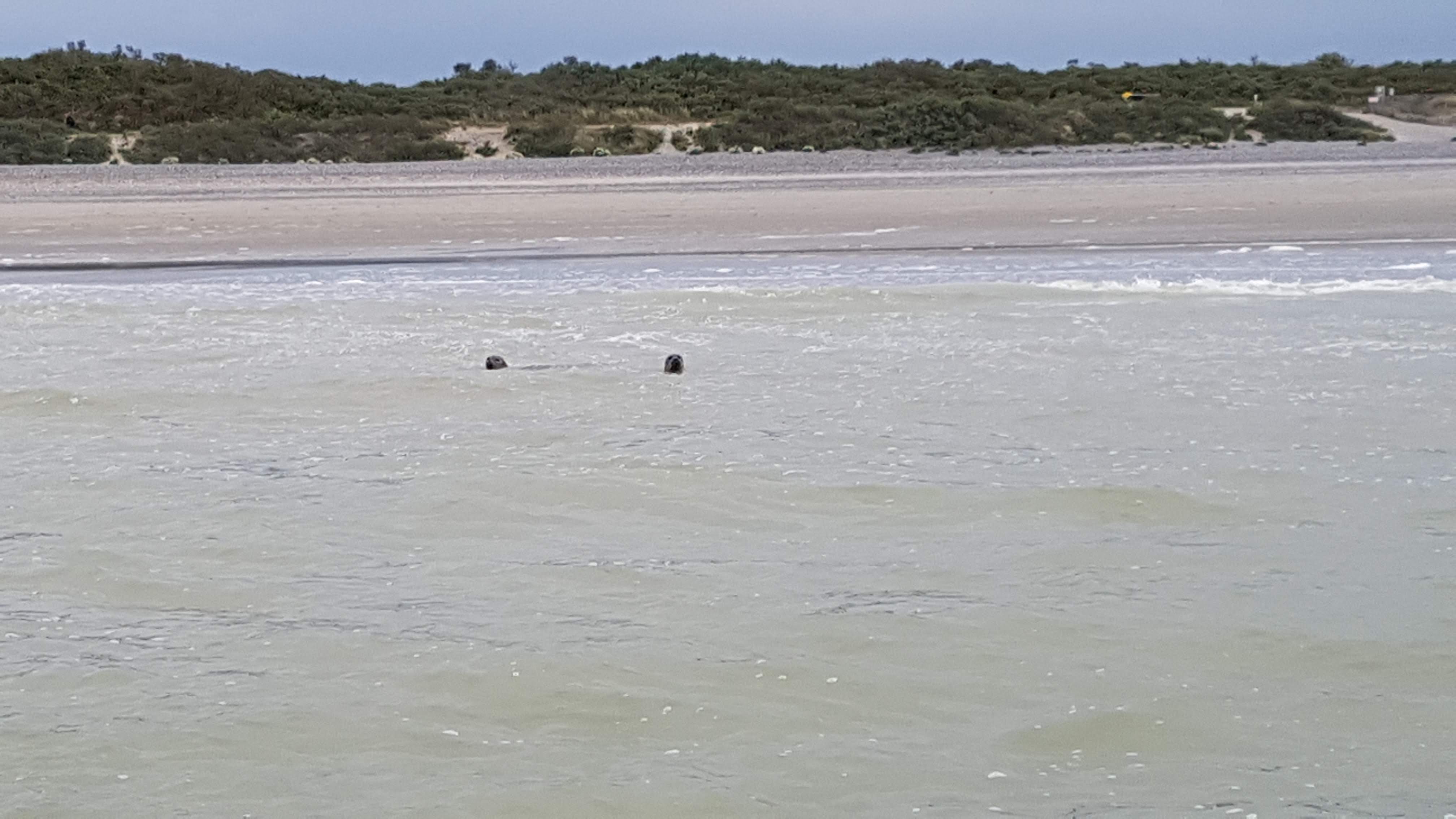 Photo n° 1 de l'avis de thiriet.r fait le 20/05/2019 à 07:26