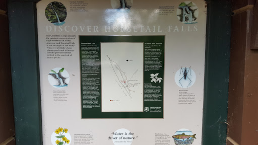 Waterfall «Horsetail Falls», reviews and photos, Historic Columbia River Hwy, Cascade Locks, OR 97014, USA