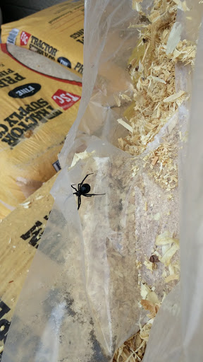 Home Improvement Store «Tractor Supply Co.», reviews and photos, 6880 Beaman Way, Stansbury Park, UT 84074, USA