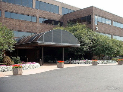 The Rothfeld Center For Integrative Medicine
