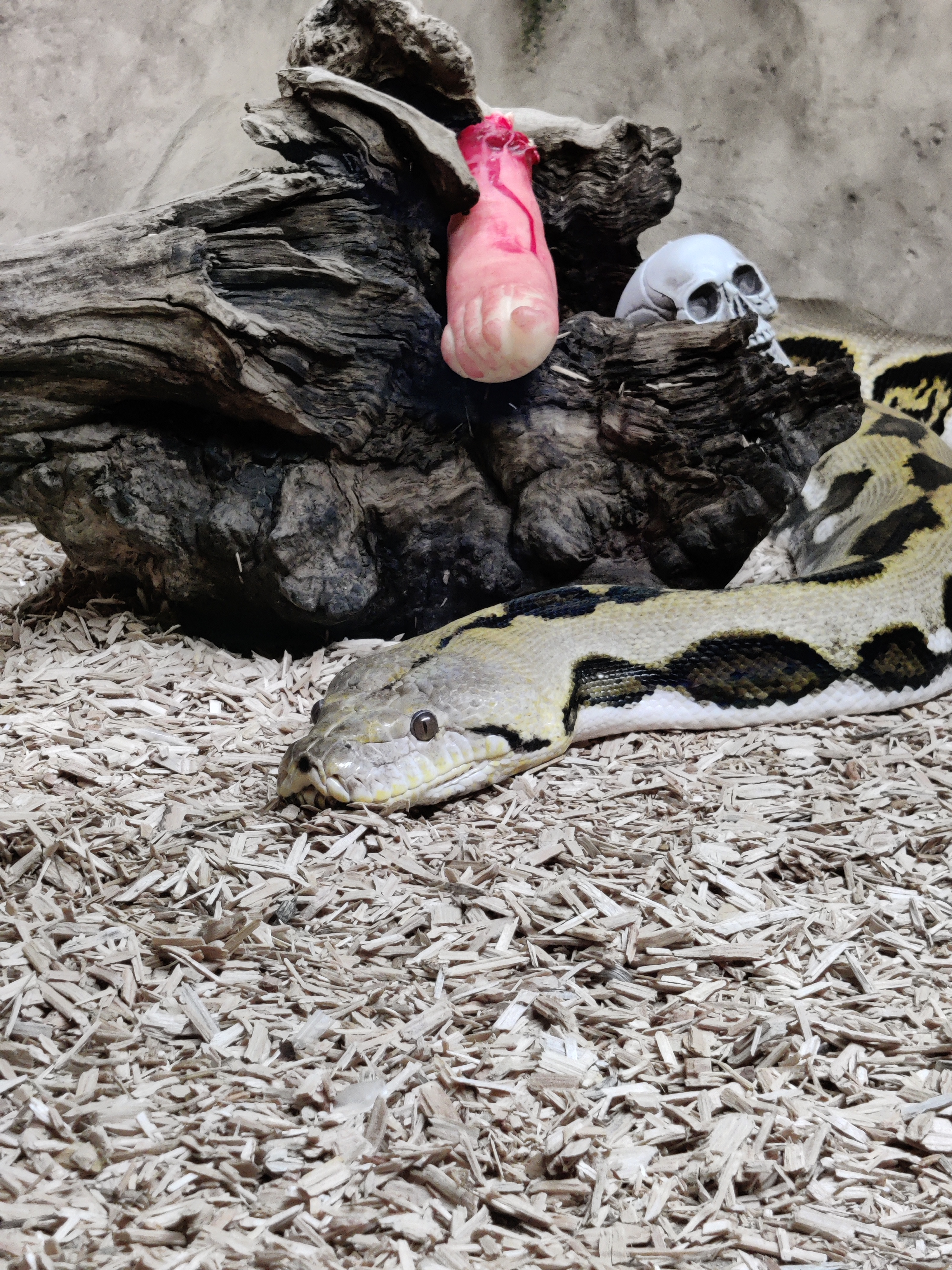 Photo n° 2 de l'avis de Anne.a fait le 03/11/2023 à 15:51