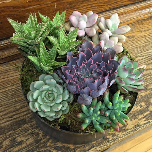 Florist «The Flower Lady», reviews and photos, 1417 Underwood Ave, Milwaukee, WI 53213, USA