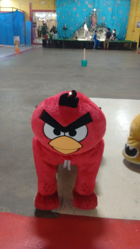 Flea Market «Fox Valley Flea Market», reviews and photos, 840 N State St, Elgin, IL 60123, USA