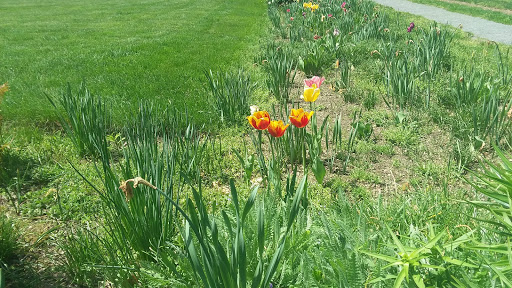 National Park «Home of Franklin D. Roosevelt National Historic Site», reviews and photos, 4097 Albany Post Rd, Hyde Park, NY 12538, USA