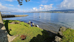 Strandbad Kapfnach photo #6