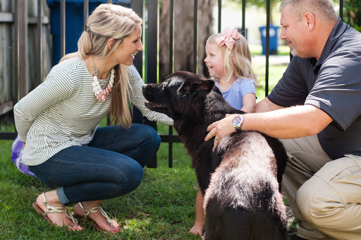 HVAC Contractor «Westbrook Service Corporation», reviews and photos, 1411 S Orange Blossom Trail, Orlando, FL 32805, USA