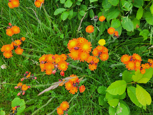 Maritime Museum «Great Lakes Shipwreck Museum», reviews and photos, 18335 N Whitefish Point Rd, Paradise, MI 49768, USA