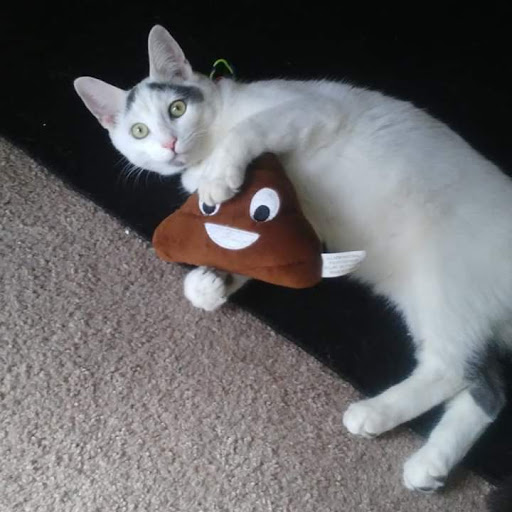 Pet Supply Store «PetSmart», reviews and photos, 101 Pavilion Pkwy, Fayetteville, GA 30214, USA