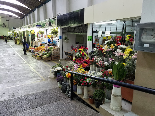Mercado Municipal - Cardona